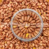  Hạt Điều Rang Muối Bình Phước - Hạt Điều Xếp Hoa Hộp 500gr 