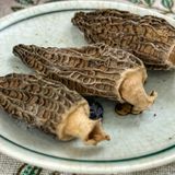  Nấm Bụng Dê Sấy Khô (Nấm Quý Tây Bắc) - Túi 100gr 