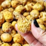  Sung Mật Sấy Dẻo Không Đường (Sung Khô Đặc Sản Tân Cương - Ficus carica) 