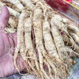 Nhân Sâm Trường Bạch Size 60 CỦ/ 1KG (Nhân Sâm Nguyên Củ - Nhân Sâm Sấy Khô) Hộp 500g 