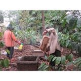  Mật Ong Nguyên Chất ĐăkLak Chai 1L 