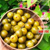  Ô Mai Sấu Giòn Cay Lon 500gr 