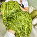  RAU TIẾN VUA KHÔ (Công Sôi/ Rau Cần Biển/ Rau Cần Khô) - Túi 500gram 