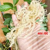  Rong Sụn Khô - Túi 500gram 