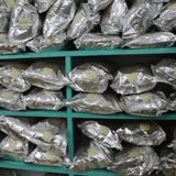  Trà Lài (Chè Lài) - Trà Xanh Lài - Chè Nhài - Trà Đá - Trà Chanh Túi 300GR 