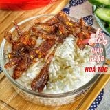  Cá Bóng Rim Sate ( Ăn Liền Không Cần Chế Biến ) - Lon 300Gram 
