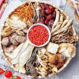  Canh Nấm Dưỡng Sinh 11 Vị + Kèm Nhân Sâm Set 100gram Siêu Bổ Dưỡng Thanh Đạm & Tiện Lợi (Set 100gram) 