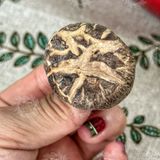  Nấm Đông Cô Khô (Nấm Hương Sấy Khô) size 4 phân - Túi 100gram 