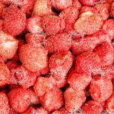  Dâu Tây Sấy Thăng Hoa Túi 500Gr (Dâu Tây Sấy Lạnh) 
