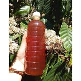  Mật Ong Nguyên Chất ĐăkLak Chai 1L 