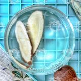  Cam Thảo Lát Sấy Khô (Trà Cam Thảo) Túi 500Gram 