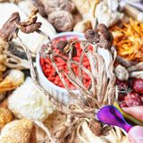  Canh Nấm Dưỡng Sinh 11 Vị + Kèm Nhân Sâm Set 100gram Siêu Bổ Dưỡng Thanh Đạm & Tiện Lợi (Set 100gram) 