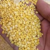  Đậu Xanh Tách Vỏ (Đậu Xanh Cà) - Túi 500gr 