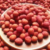  Đậu Phộng Da Cá Củ Dền Lon 500Gram 