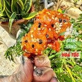  Da Gà Chiên Giòn Sốt Bơ Tỏi  Lon 250Gram 