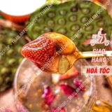 Súp Củ Sen Thực Dưỡng ( Bột Củ Sen Mix Hạt Dinh Dưỡng Trái Cây ) - 1 Hộp 10 Set 