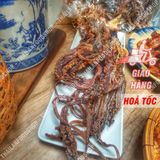  Râu Mực (Đầu Mực) Sấy Khô Túi HCK 500Gram (Chưa Chế Biến) 