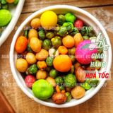  Đậu Mix 24 Vị - Lon 500Gram 