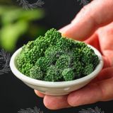  Nụ Tam Thất Bao Tử (Hàng Sấy Khô Tự Nhiên) - Hủ Thủy Tinh Cao Cấp 55gr 