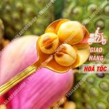  Hạt Sen Sấy Giòn Ăn Liền 100% Không Đường - Lon 350gram 