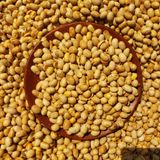  Đậu Nành Sấy Giòn - Lon 450gr Siêu Thơm 