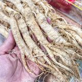  Nhân Sâm Trường Bạch Size 60 CỦ/ 1KG (Nhân Sâm Nguyên Củ - Nhân Sâm Sấy Khô) Túi 100g 
