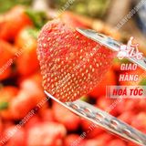  Dâu Tây Sấy Thăng Hoa ( Dâu Tây Sấy Đông Khô ) - Lon 250gram 