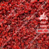  Nam Việt Quốc Sấy Dẻo Không Đường - Lon 500gram 