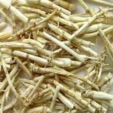  Bạch Mao Căn (Rễ Cỏ Tranh) - Túi 1kg 