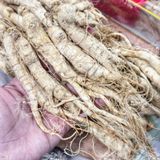  Nhân Sâm Trường Bạch Size 60 CỦ/ 1KG (Nhân Sâm Nguyên Củ - Nhân Sâm Sấy Khô) Hộp 500g 