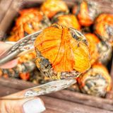  Trà Phổ Nhĩ Bách Hợp (Trà Phổ Nhĩ Nở Hoa - Trà Pu'er Vân Nam - Trà Kim Qua Cống - Trà Nhân Đầu Cống) - Túi 250gr 