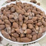  Hạt Đười Ươi Bay Loại 1 Sấy Khô Hạt To Nở Nhiều (Đười Ươi Rừng - Hột Ươi - Lười Ươi) Túi 1kg 