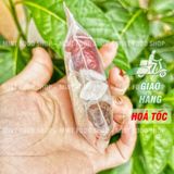  Yến Chưng Khánh Hòa (Kèm Đồ Chưng) Hộp 10 Set 