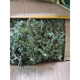  Bạc Hà Sấy Khô (Trà Bạc Hà) Lon 100Gram 