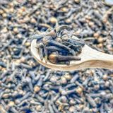  NỤ ĐINH HƯƠNG SẤY KHÔ (Nụ To Thơm Đẹp - Cloves Whole) Túi 1kg 