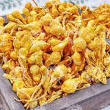  Bông Nấm Đông Trùng Hạ Thảo Sấy Thăng Hoa (Đông Trùng Bảo Tử - Hoa Đông Trùng Hạ Thảo) Túi 500Gram 