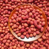  Đậu Phộng Da Cá Củ Dền Lon 500Gram 