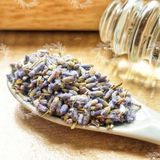  Hoa Lavender Sấy Khô (Hoa oải hương, Lavandula) 