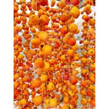  Hồng Treo Gió Đà Lạt (Đặc Sản Cao Cấp Từ Đà Lạt) - Túi 500gr HCK 