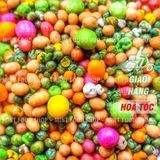  Đậu Mix 24 Vị - Lon 500Gram 