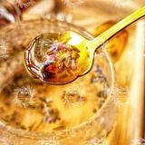 Hoa Lavender Sấy Khô (Hoa oải hương, Lavandula) 