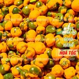  Đậu Hà Lan Vị Phô Mai - Lon 300gr 