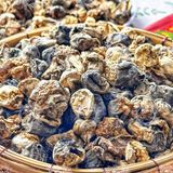  Nấm Rơm Sấy Khô (Nấm Mủ Rơm Khô - Volvariella volvacea) 