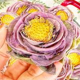  Trà Hoa Sen (Lotus) Sấy Lạnh Nguyên Bông (Mix Tâm Sen - Mix Hoa - Củ Sen - Hạt Sen) - 1 Set 