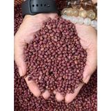  Đậu Đỏ Khô Túi 500Gram 