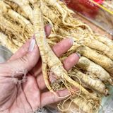  Nhân Sâm Trường Bạch Size 60 CỦ/ 1KG (Nhân Sâm Nguyên Củ - Nhân Sâm Sấy Khô) Hộp 500g 