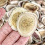  Nhung Hươu Lát Sấy Khô Túi 100Gr 