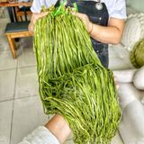  RAU TIẾN VUA KHÔ (Công Sôi/ Rau Cần Biển/ Rau Cần Khô) - Túi 500gram 