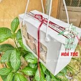  Yến Chưng Khánh Hòa (Kèm Đồ Chưng) Hộp 10 Set 