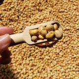  Đậu Nành Sấy Giòn L500gr Siêu Giòn Ngon Bùi Bùi Béo Béo 